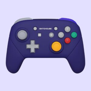 Custom Nintendo Switch Pro Controller | Gamecube Retro Indigo