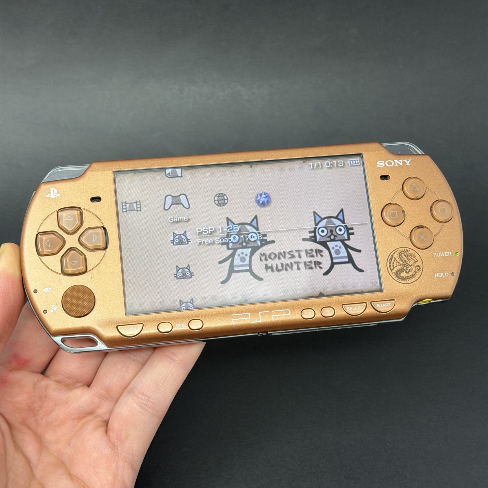 PSP 2000 (128GB) - 1050 Games | Monster Hunter Edition